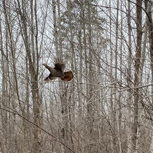 Meet your Posher, Kevin